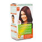 GARNIER 3.16 BURGUNDY 24ml PLUS 16g